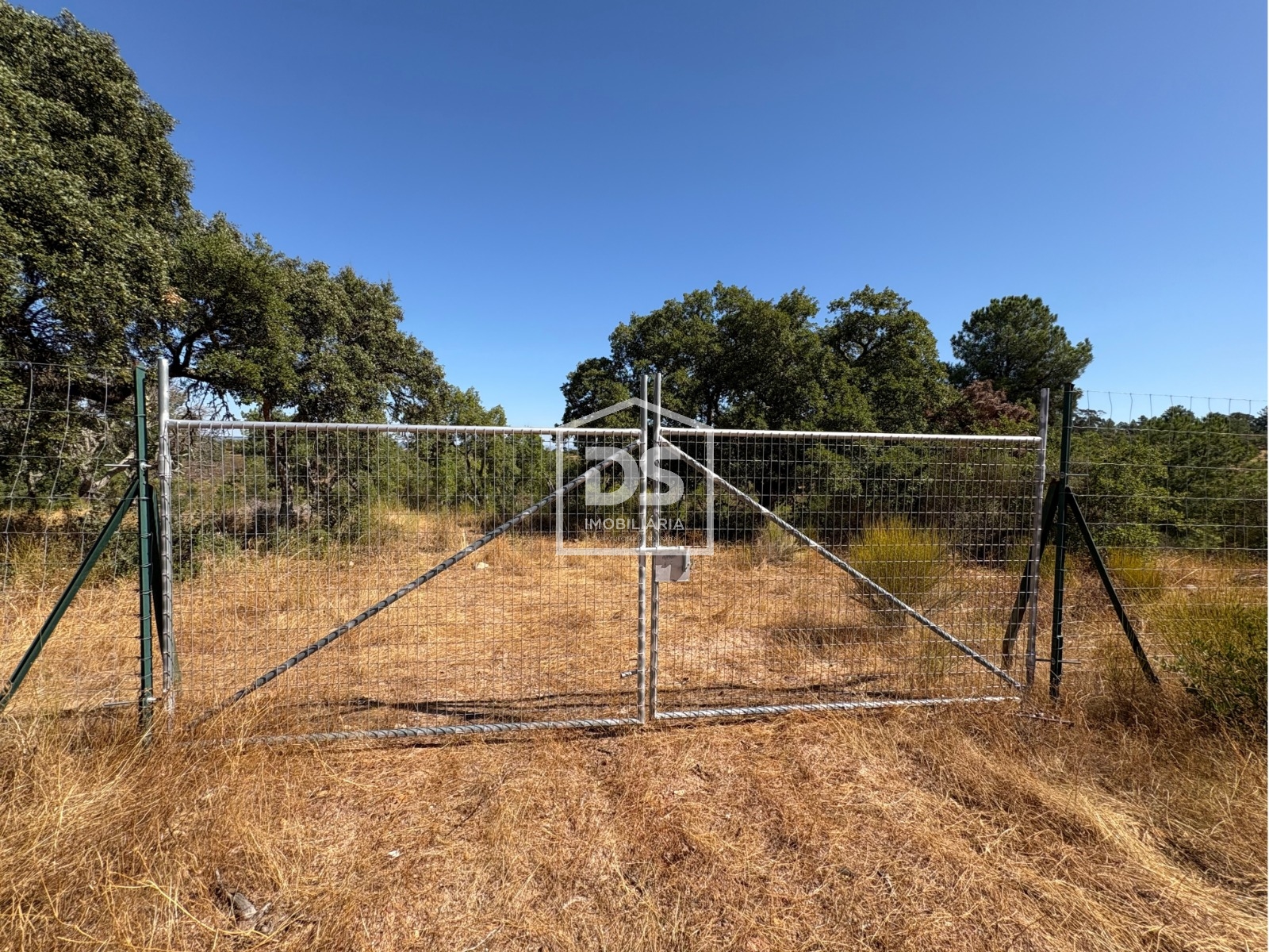 Real estate land