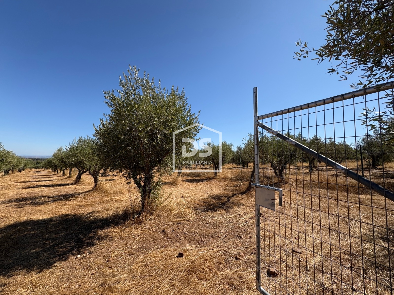 Real estate land