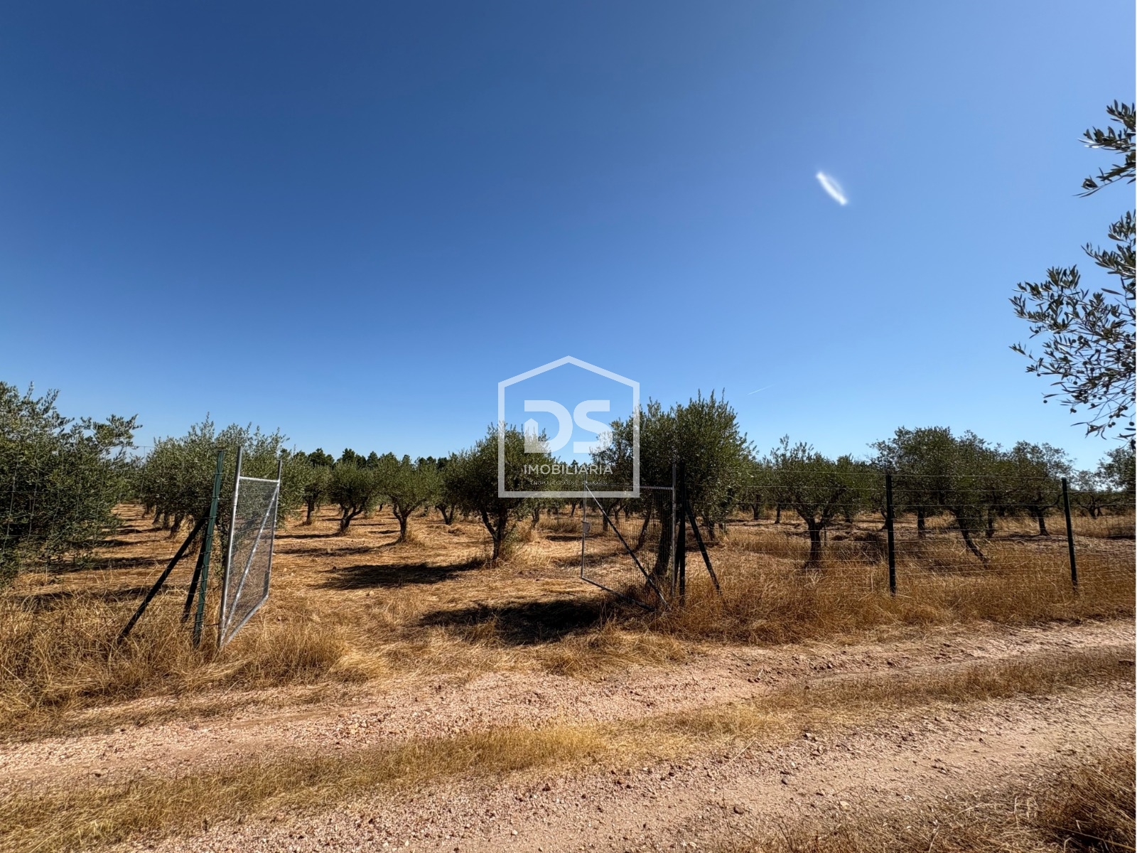 Real estate land