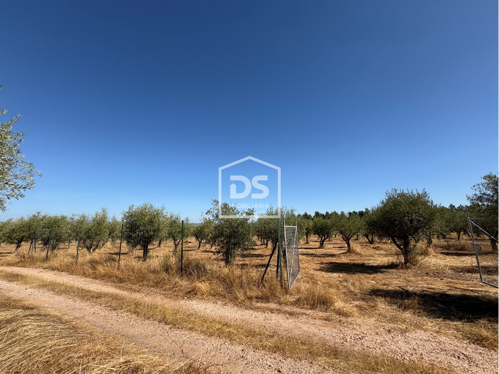 Real estate land