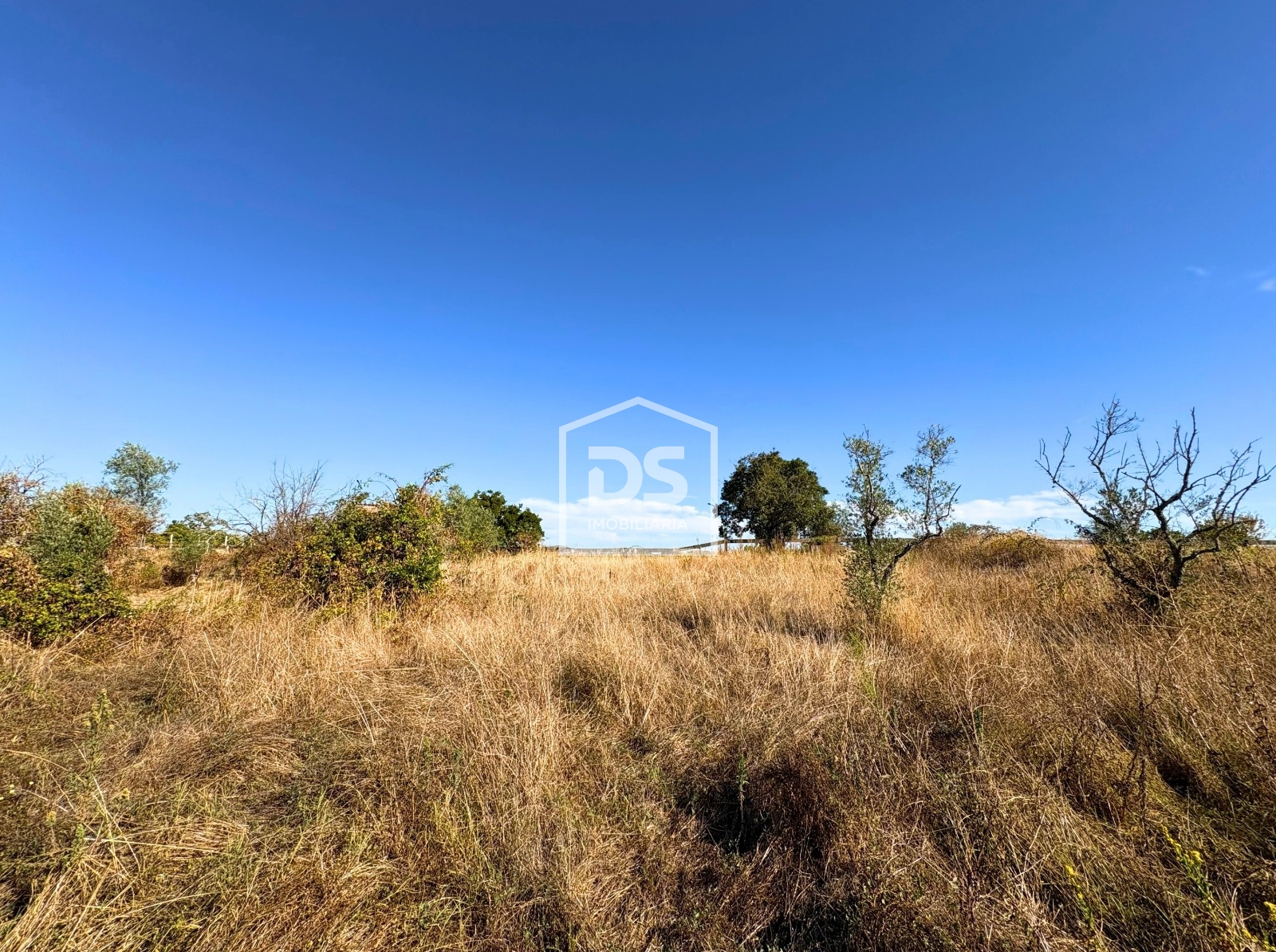 Small Farm Studio