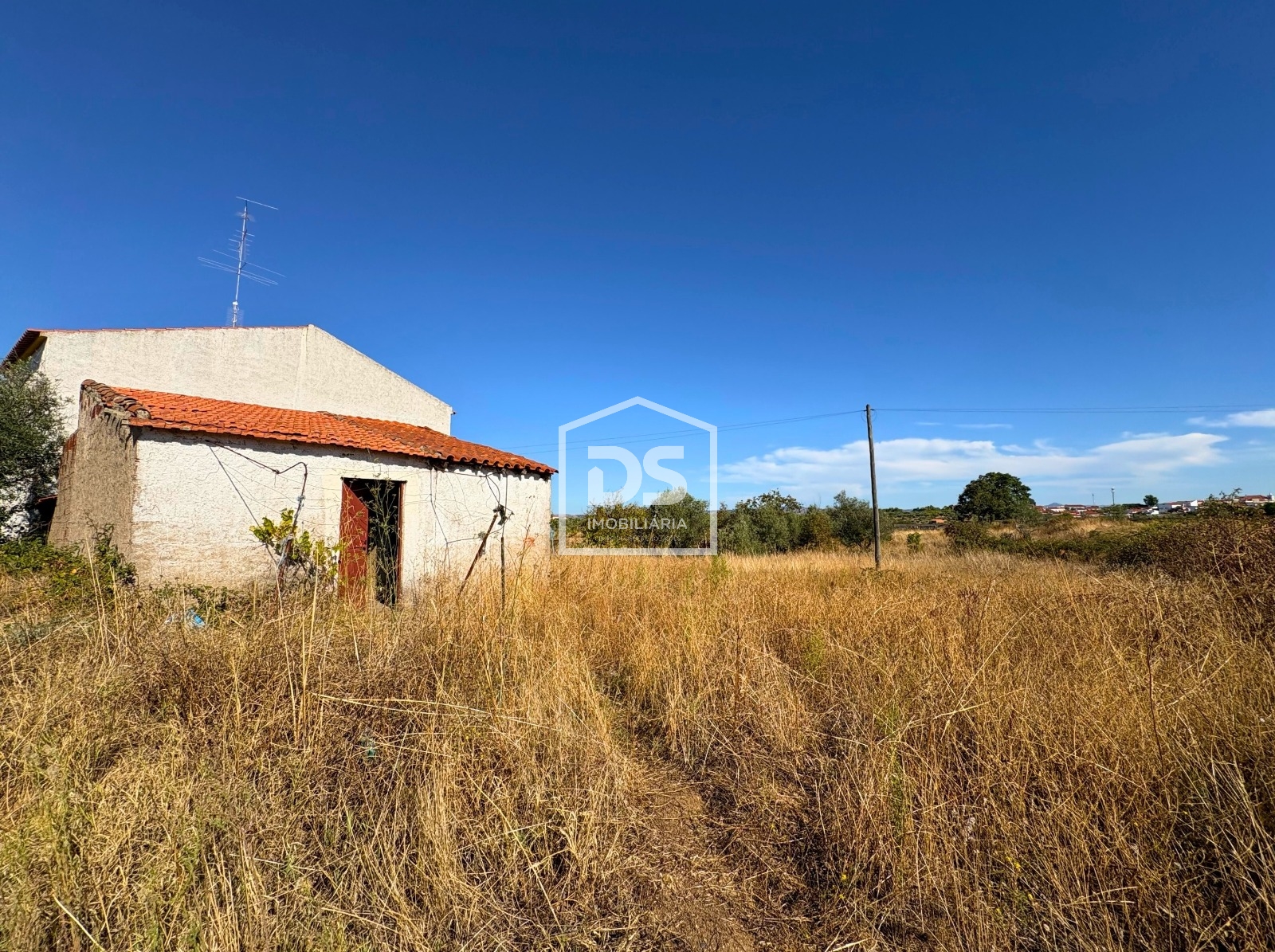 Small Farm Studio