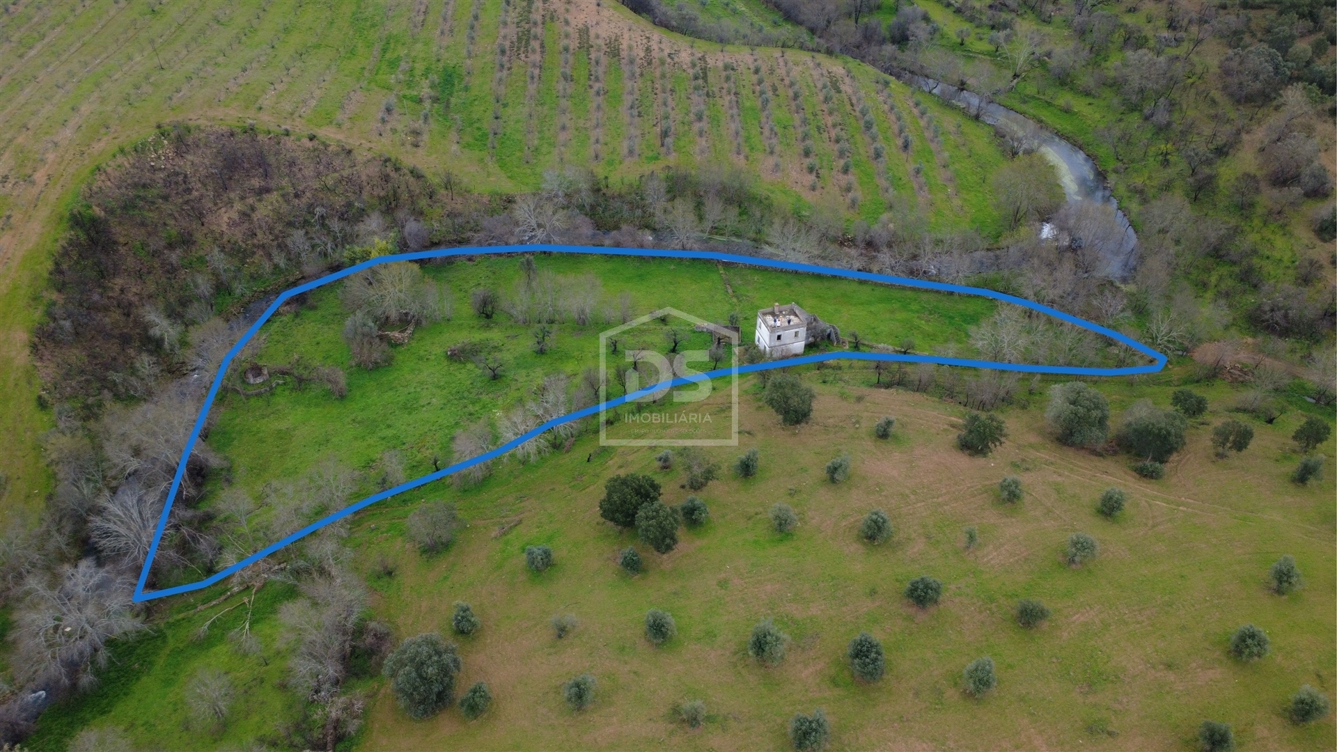 Mixed Real Estate T1