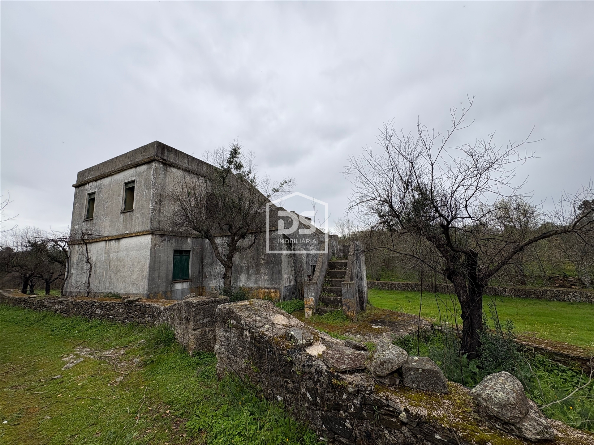 Mixed Real Estate T1