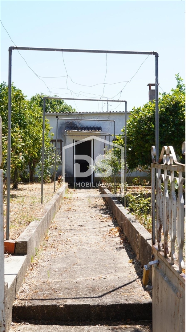 House T3